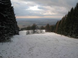 silvestr 2011